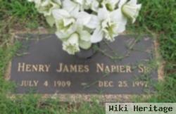 Henry James Napier, Sr