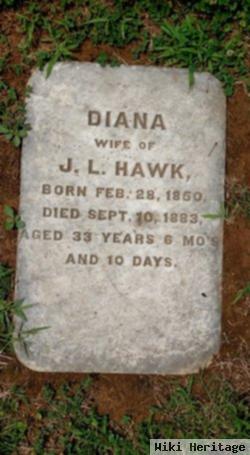 Diana Hawk