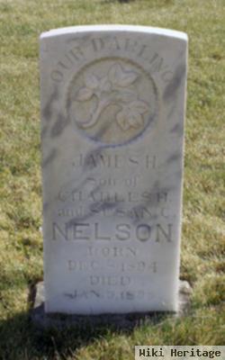 James Henry Nelson