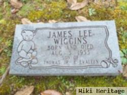 James Lee Wiggins