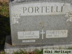 Luigi Portelli