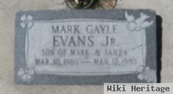 Mark Gayle Evans