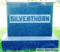 Frank Miller Silverthorn