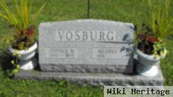 Stephen M Vosburg