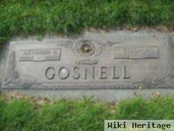 Alexander Nelson Gosnell