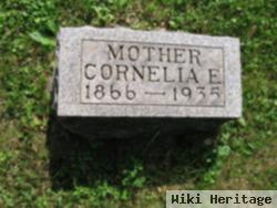 Cornelia E Bauer