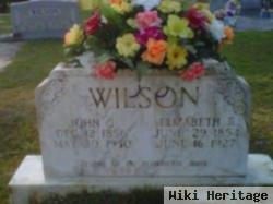 Elizabeth Rebecca Dubose Wilson