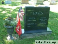 Sgt Terry L. Hayes