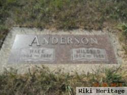 Hale Anderson