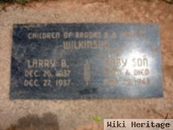 Larry B. Wilkinson