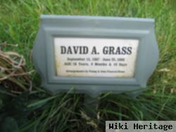 David Allen Grass