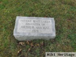 Infant Whittaker