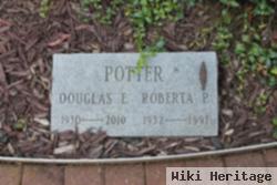 Douglas E Potter