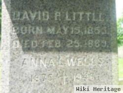 Anna L. Wells