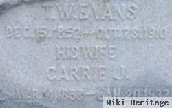 Carrie Jane Henry Evans