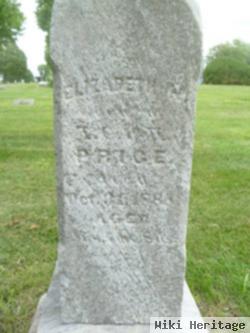 Elizabeth N. Price