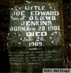 Joe Edward Jenkins