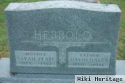 David Hayes Herrold