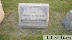 James A Walker