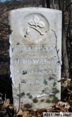 Dora Ellen Howard