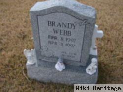 Brandy Webb