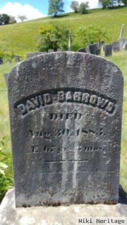 David Barrows