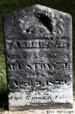 Albert Stone