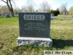 Mary W. Tinkham Briggs