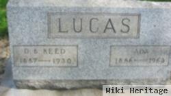 Ada R Stein Lucas