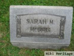 Sarah M Morris