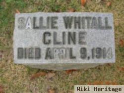 Sallie Whitall Cline