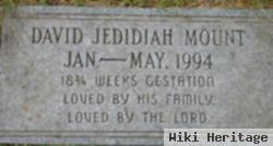 David Jedediah Mount