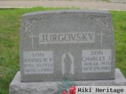 Andrew Paul Jurgovsky