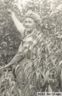 Nancy Louisa "nannie" Goodwin Frazee