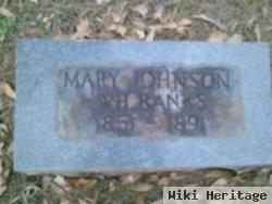 Mary Johnson Wilbanks