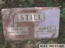 Mary L Stein Still