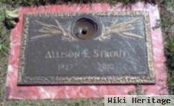 Allison E. Strout