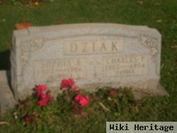 Charles Paul Dziak, Sr