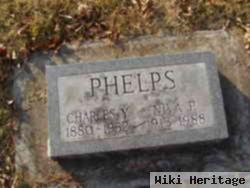 Niva P. Phelps