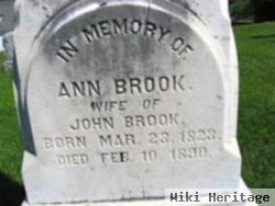 Ann Brook