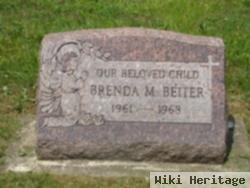 Brenda M Beiter