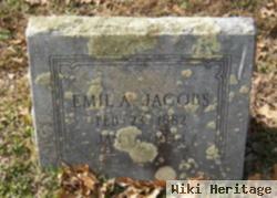 Emil Anton Jacobs