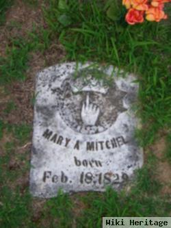 Mary A. Mitchell