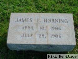 James Lapp Horning