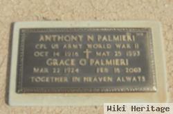 Anthony N. Palmieri