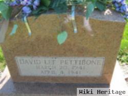 David Lee Pettibone