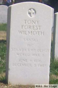 Tony F Wilmoth