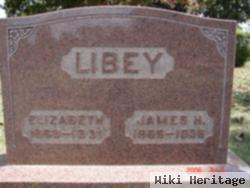 James H Libey