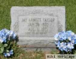 Jay Arnett Taylor