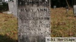 Mary Ann Howard Robinson